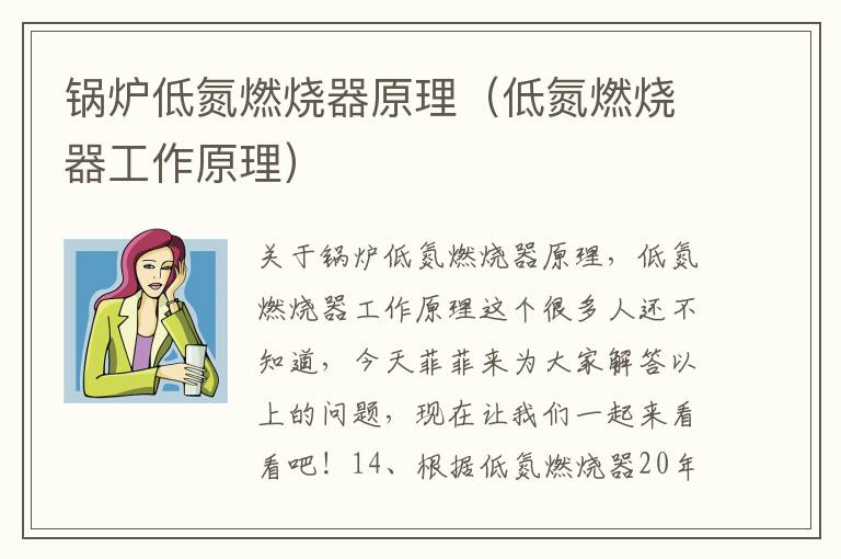 锅炉低氮燃烧器原理（低氮燃烧器工作原理）
