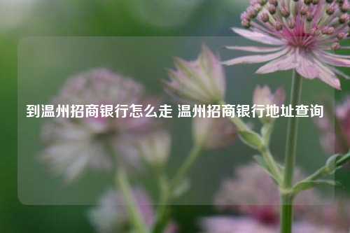 到温州招商银行怎么走 温州招商银行地址查询