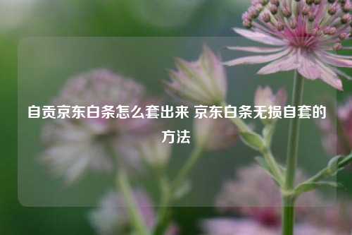 自贡京东白条怎么套出来 京东白条无损自套的方法
