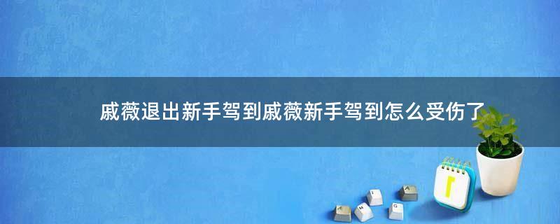 戚薇退出新手驾到 戚薇新手驾到怎么受伤了