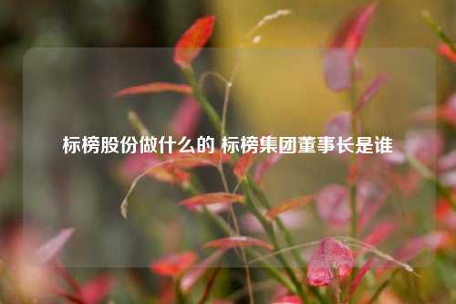 标榜股份做什么的 标榜集团董事长是谁