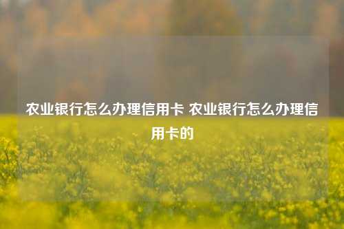 农业银行怎么办理信用卡 农业银行怎么办理信用卡的