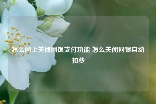 怎么网上关闭网银支付功能 怎么关闭网银自动扣费