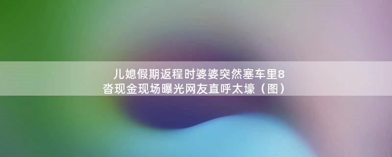 儿媳假期返程时婆婆突然塞车里8沓现金 现场曝光网友直呼太壕（图）