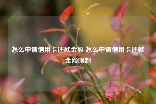 怎么申请信用卡还款金额 怎么申请信用卡还款金额限制