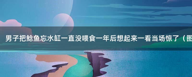 男子把鲶鱼忘水缸一直没喂食 一年后想起来一看当场惊了（图）