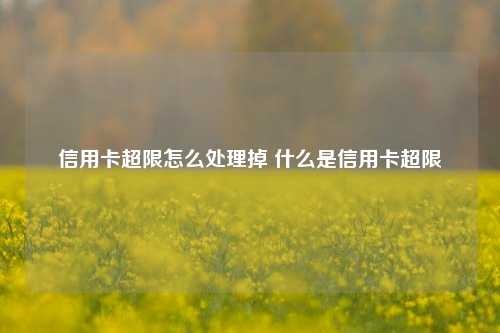 信用卡超限怎么处理掉 什么是信用卡超限