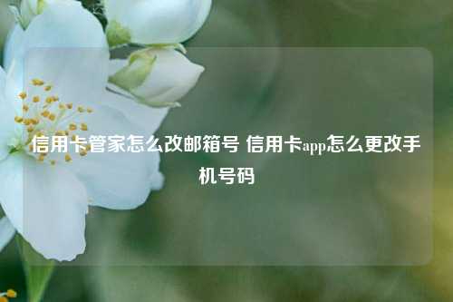 信用卡管家怎么改邮箱号 信用卡app怎么更改手机号码