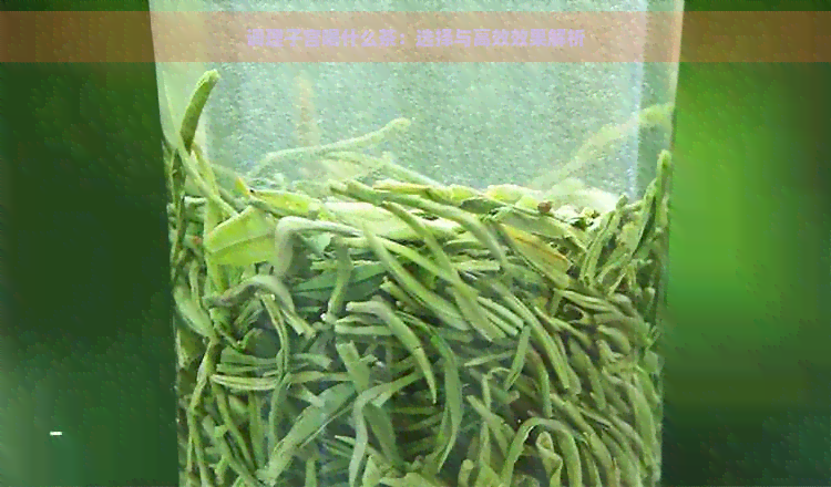 调理子宫喝什么茶：选择与高效效果解析
