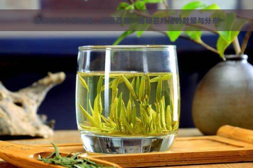 西安有几个茶叶场，探索西安：揭秘茶叶场的数量与分布