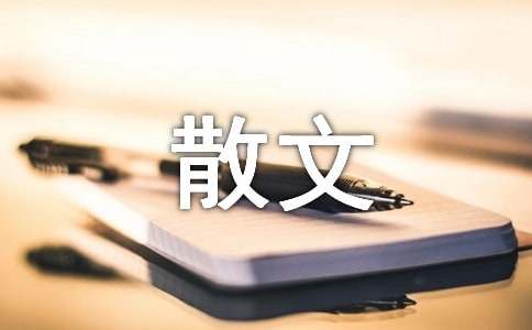 热爱生活的散文「荐读」