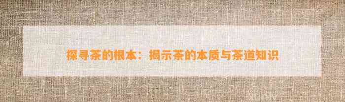 探寻茶的根本：揭示茶的本质与茶道知识