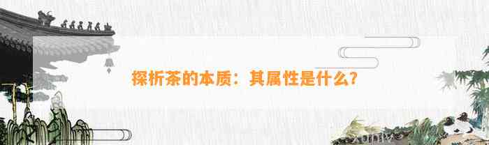 探析茶的本质：其属性是什么？