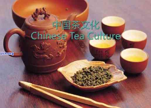 茶的本质是什么-茶的本质是什么英语