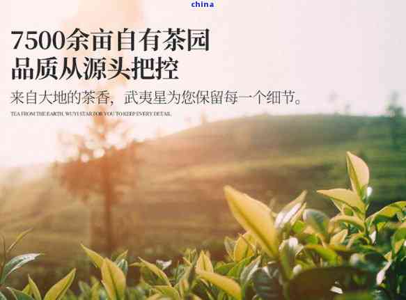 茶叶寓意象征着什么-茶叶寓意象征着什么含义