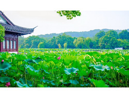首先，起底深圳市承兴投资有限公司，这是一家新成立的国资企业，鲲鹏下属投资公司，5
