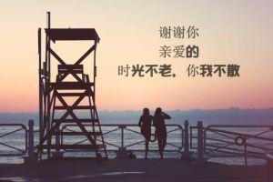 电商运营小技巧！适合发表营销文章的软文平台有哪些？