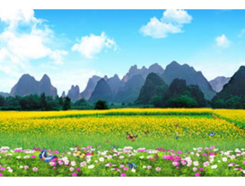 创业开公司的三种形式