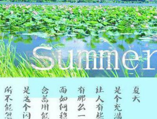 小红书引流技巧合集附怎么做隐蔽的小号引流笔记方法