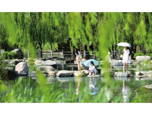 彭静  等：云平台环境下个人数据传播生态系统研究