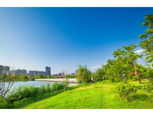 语文现代文答题技巧和方法