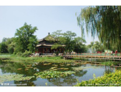 【原】对于数字经济专业的学生来说，现在什么行业发展前景最好？