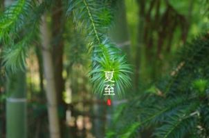 历史中的背景、原因、作用、性质、特点、意义到底是什么意思？
