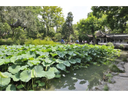 小红书留联系方式技巧有哪些？
