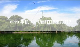OPPO 手机 NFC 功能在哪里打开？
