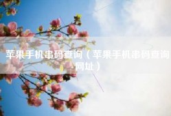 苹果手机串码查询（苹果手机串码查询网址）
