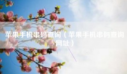 苹果手机串码查询（苹果手机串码查询网址）