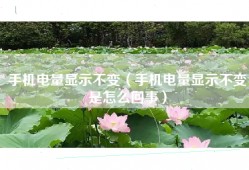 手机电量显示不变（手机电量显示不变是怎么回事）