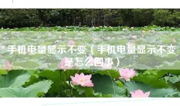 手机电量显示不变（手机电量显示不变是怎么回事）