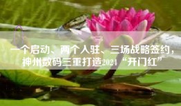 一个启动、两个入驻、三场战略签约，神州数码三重打造2024“开门红”