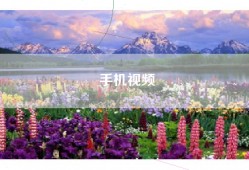 手机视频