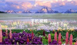手机视频