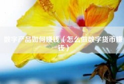 数字产品如何赚钱（怎么做数字货币赚钱）