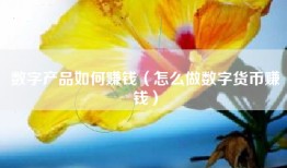 数字产品如何赚钱（怎么做数字货币赚钱）
