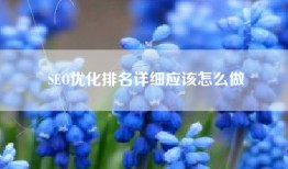 SEO优化排名详细应该怎么做