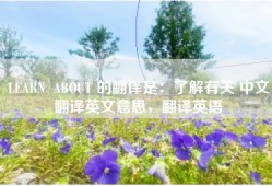LEARN  ABOUT 的翻译是：了解有关 中文翻译英文意思，翻译英语