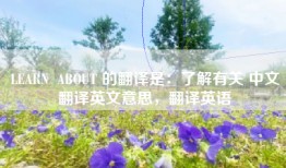 LEARN  ABOUT 的翻译是：了解有关 中文翻译英文意思，翻译英语