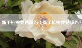 新手机需要贴膜吗（新手机需要贴膜吗？）