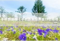 手机数据慢（手机数据慢游是什么意思）