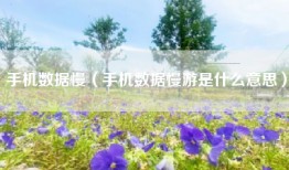 手机数据慢（手机数据慢游是什么意思）