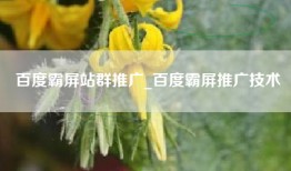 百度霸屏站群推广_百度霸屏推广技术