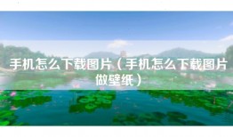 手机怎么下载图片（手机怎么下载图片做壁纸）