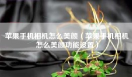 苹果手机相机怎么美颜（苹果手机相机怎么美颜功能设置）