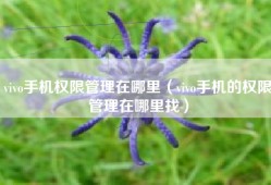 vivo手机权限管理在哪里（vivo手机的权限管理在哪里找）