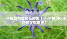vivo手机权限管理在哪里（vivo手机的权限管理在哪里找）