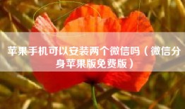 苹果手机可以安装两个微信吗（微信分身苹果版免费版）